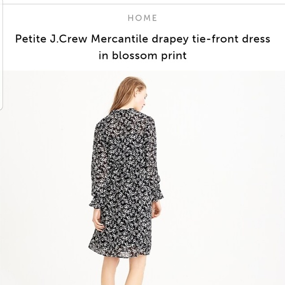 Petite J.Crew Mercantile drapey tie-front dress - Picture 4 of 5